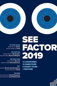 Взгляд изнутри: Сараево, любовь моя (2019)