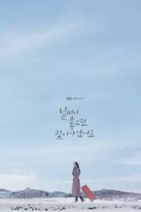 Я приду к тебе, если будет хорошая погода (2020)